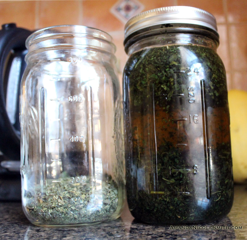 Infusing Nettles