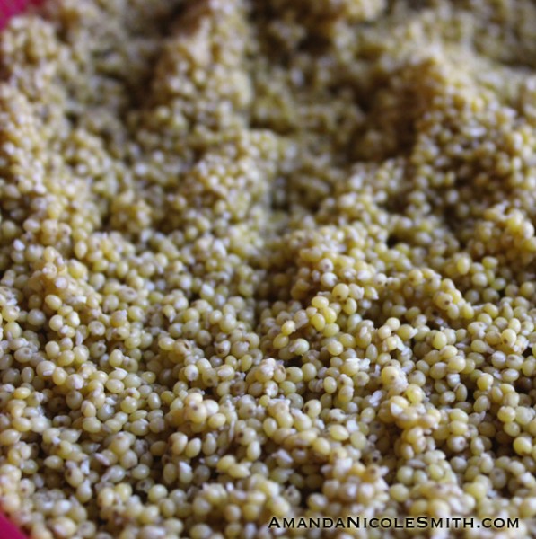sprouting millet