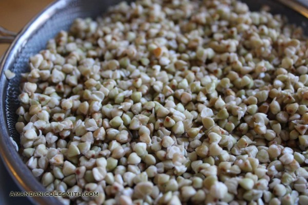 buckwheat-sprouts