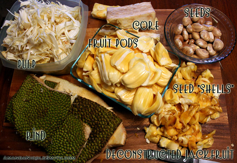 jackfruit fruit largest tree deconstructing fresh weighing 7lbs using deconstructed amandanicolesmith