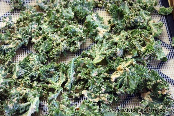 Cashew Cheesy Kale Chips being dehydrated