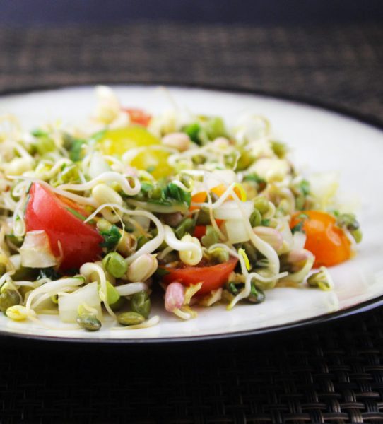 Sprouted Bean Salad Sprouted Bean Salad