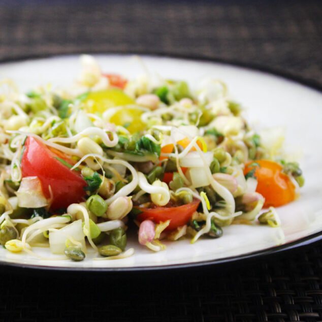 Sprouted Bean Salad