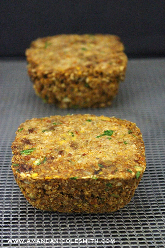 Raw Vegan Meatloaf Dehydrated