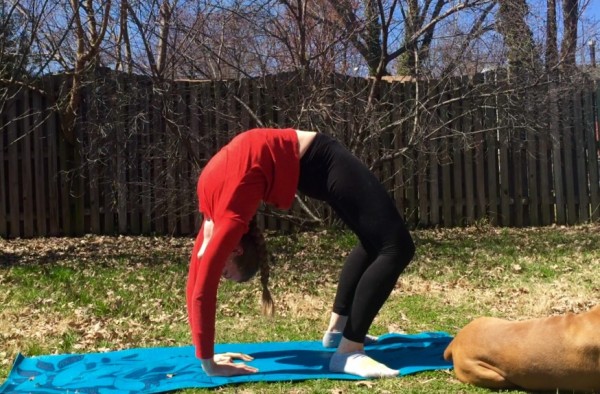 100 Day Flexibility Challenge | Backbend | Day 1