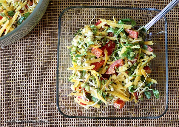 Spring Sprout Salad with Ginger Garlic Dressing