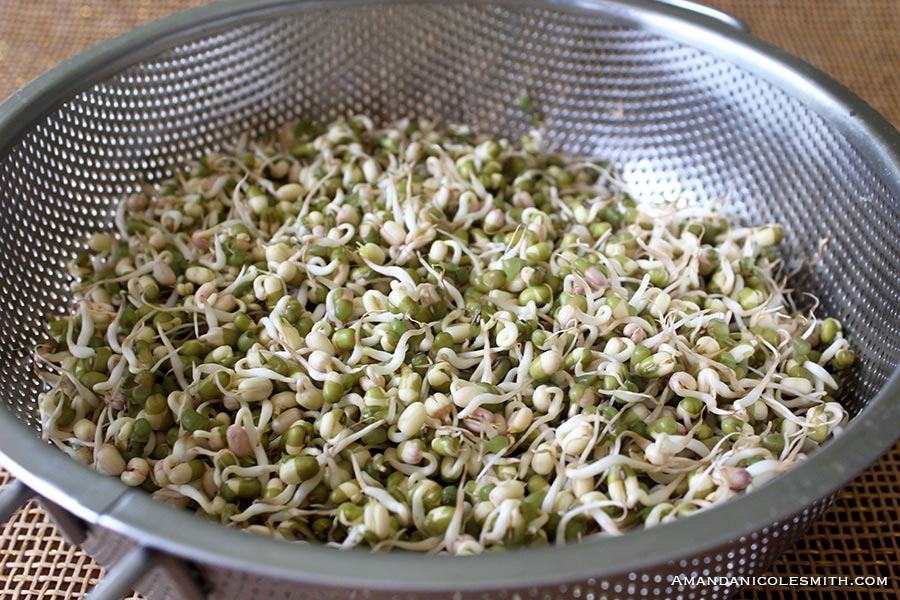 Spouted Mung Beans