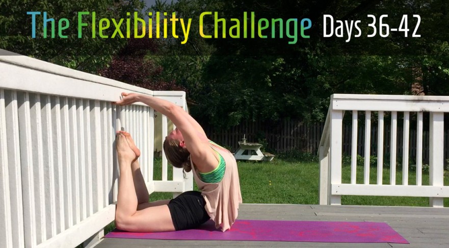 Week 6 | 100 Day Contortion Flexibility Challenge