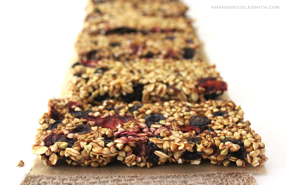Dehydrated Sprouted Blueberry Cherry Granola Bars