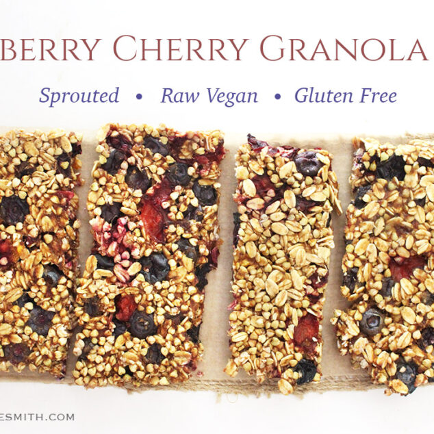 Sprouted Blueberry Cherry Granola Bars