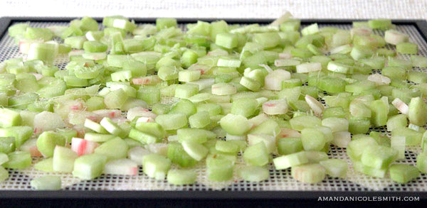 Dehydrated rhubarb for strawberry rhubarb pie