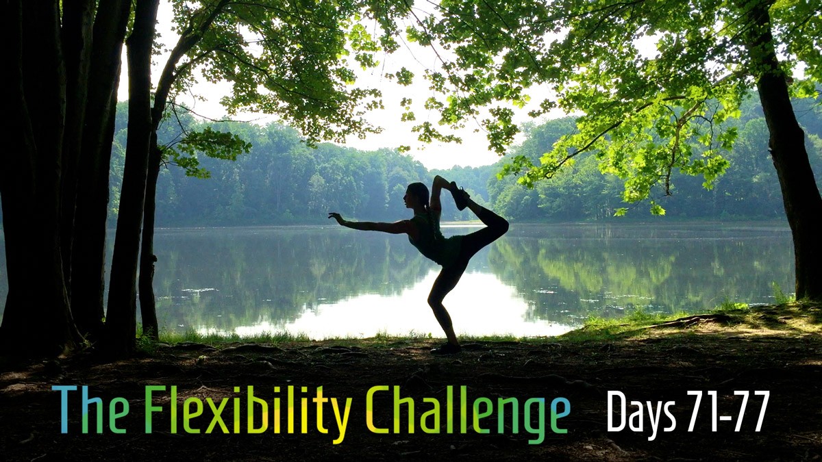 The Flexibility Challenge = Week 12