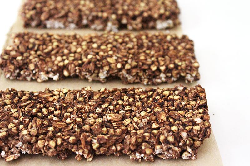 Sprouted Crunchy Chocolate Granola Bars