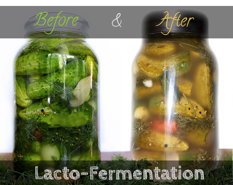 Pickles-Before-and-After-fermentation-1
