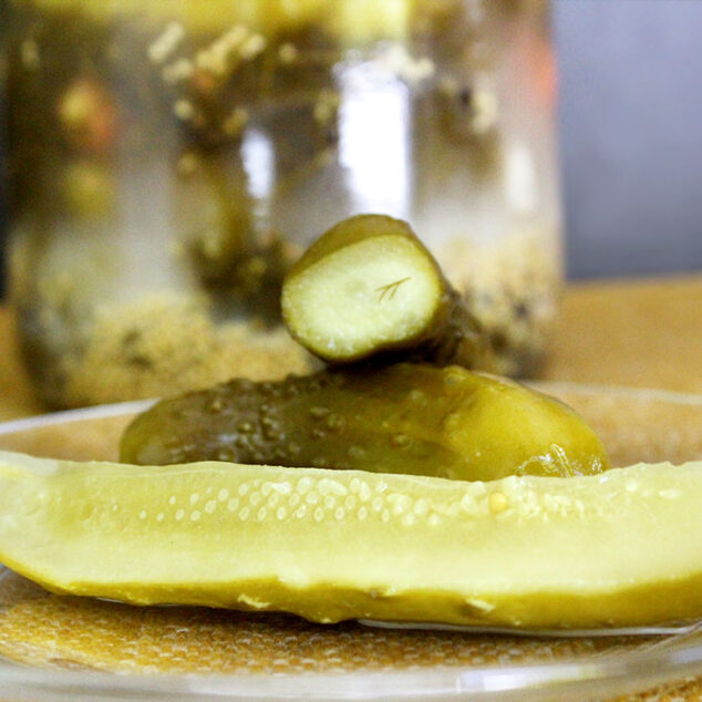 Simple Lacto-Fermented Dill Pickles