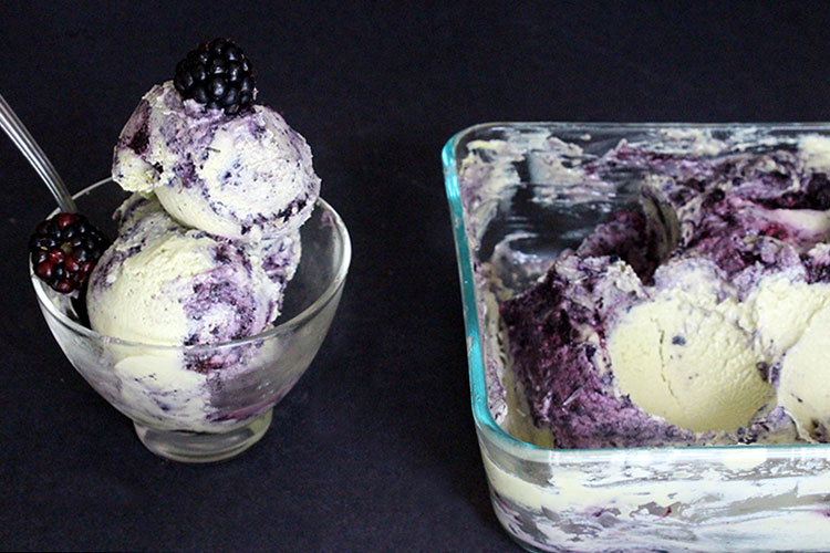 Raw Vegan Blueberry Vanilla Ice Cream