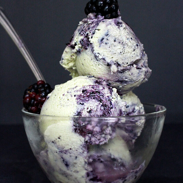 Raw Vegan Blueberry Vanilla Ice Cream