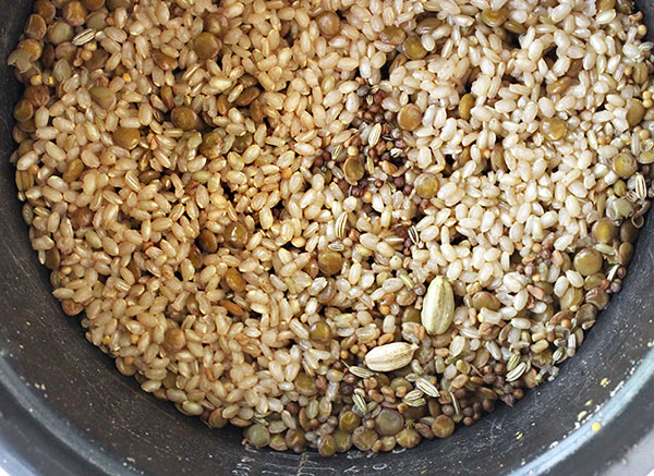 Brown Rice, Lentils and Spices