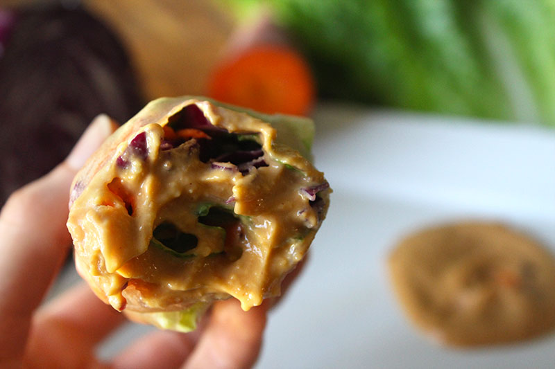 Fresh Spring Rolls with Peanut Butter Dipping Sauce