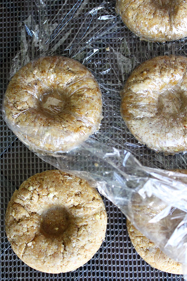 Raw Vegan Doughnut