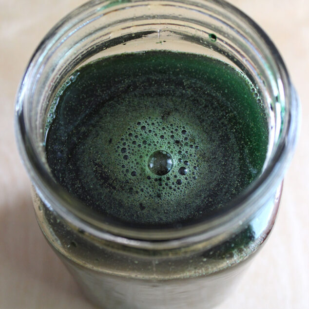 Alkalizing Protein Energy Drink