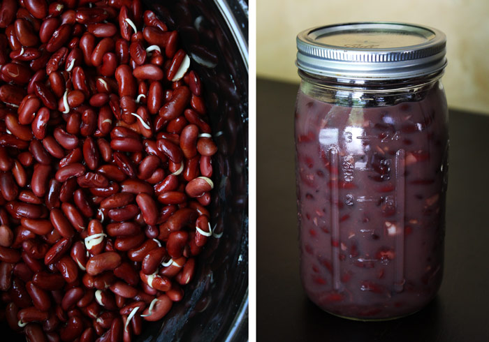 Sprouted & Canned Beans