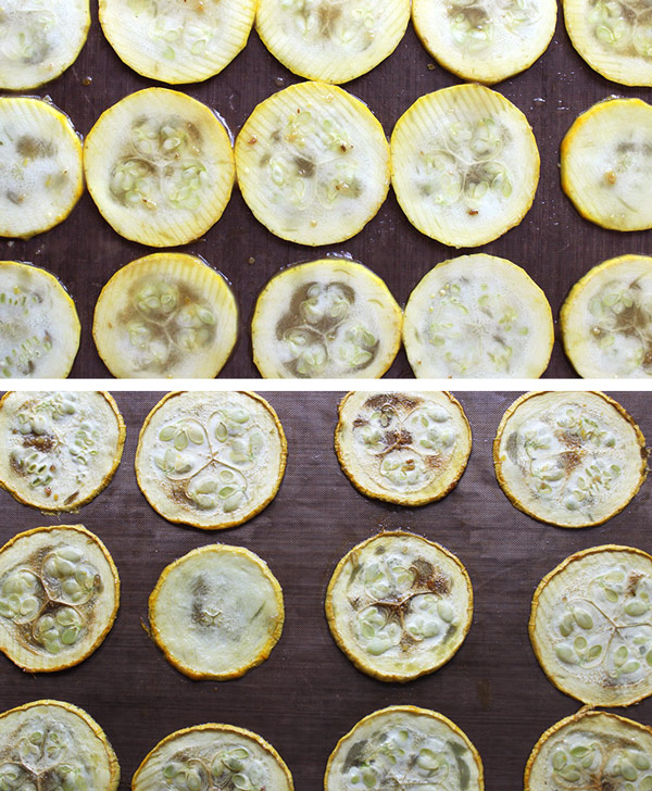 Dehydrating Hickory Zucchini Slices