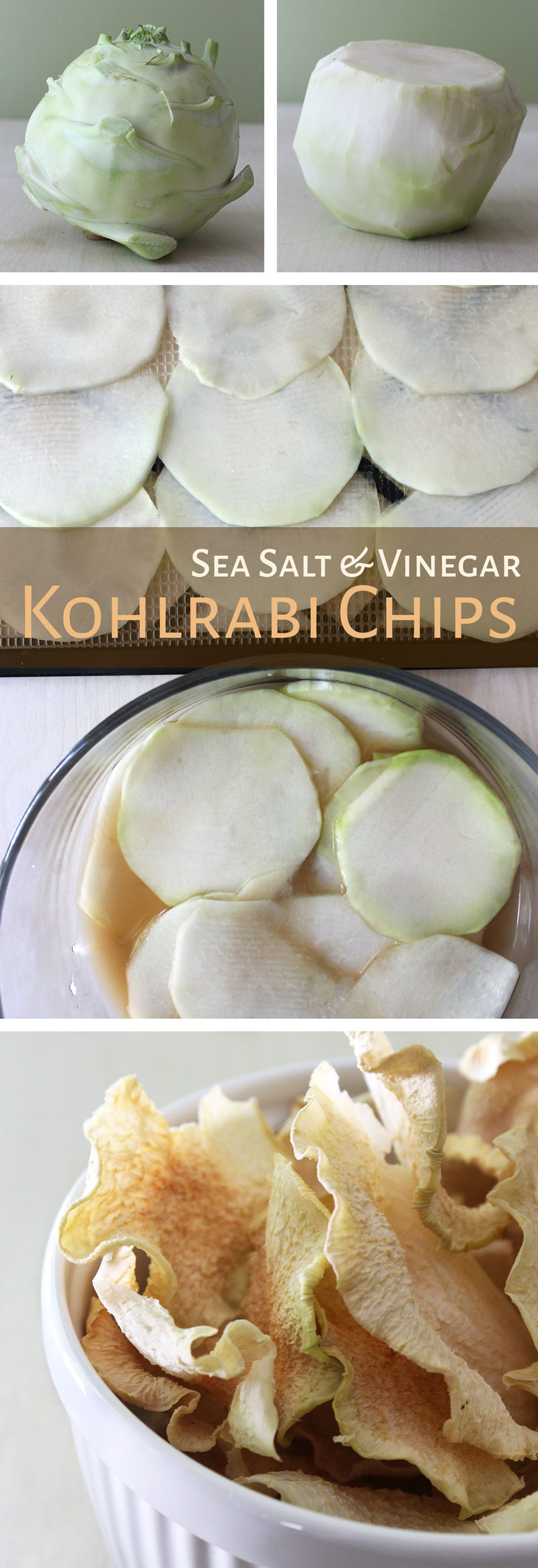 Dehydrated Sea Salt & Vinegar Chips