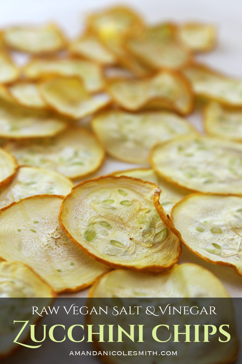 Salt & Vinegar Zucchini ChipsSalt & Vinegar Zucchini Chips