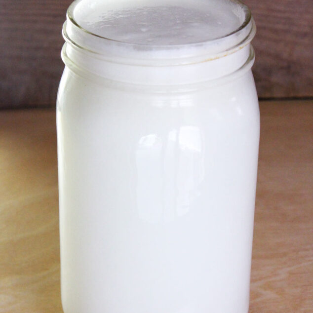 homemade coconut milk recipe