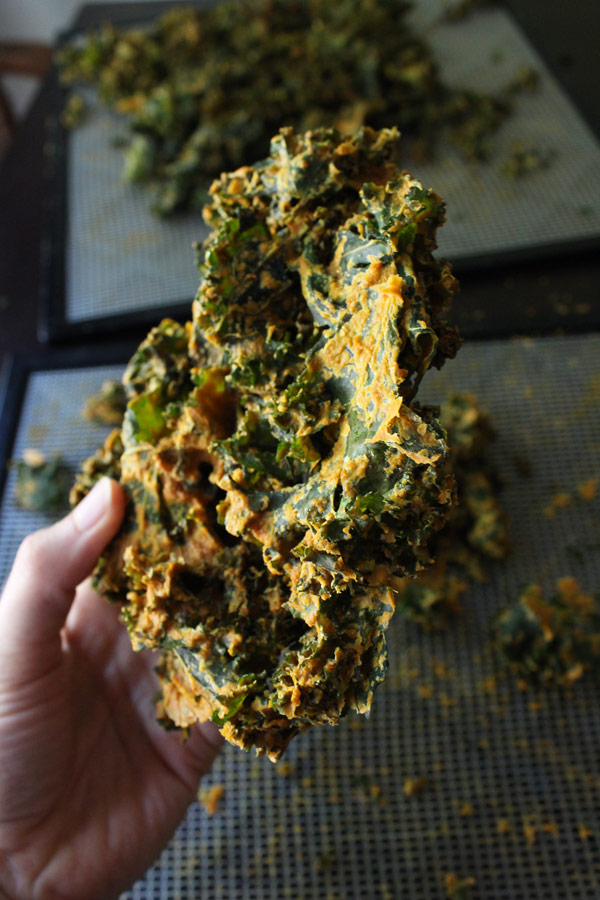 Raw Vegan Cheesy Kale Chips