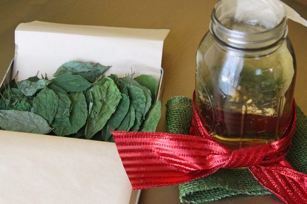 Spiced Tea | Ginseng, Ashwagandha & Holy Basil