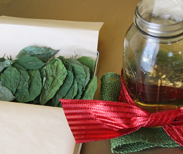 Spiced Tea | Ginseng, Ashwagandha & Holy Basil