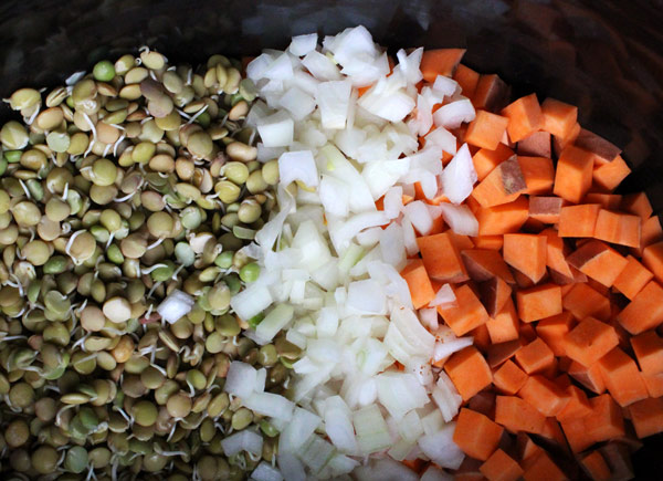 Sweet Potato Lentil Dal - Sprouted & Slow Cooked