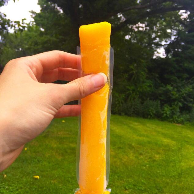 Homemade Mango Lemonade Ice Pops