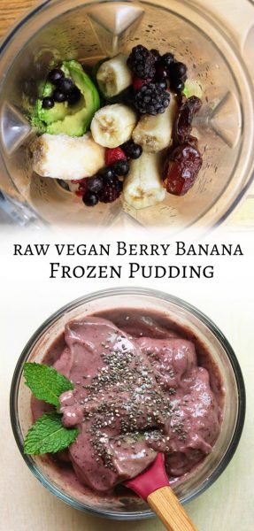 Berry Banana Frozen Pudding